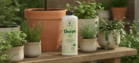 4 Organic Innovations That Boost Plant Growth Naturally