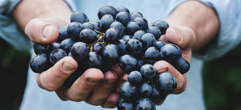 Why Greenerra Products Are Perfect for Grapes and Other Fruits