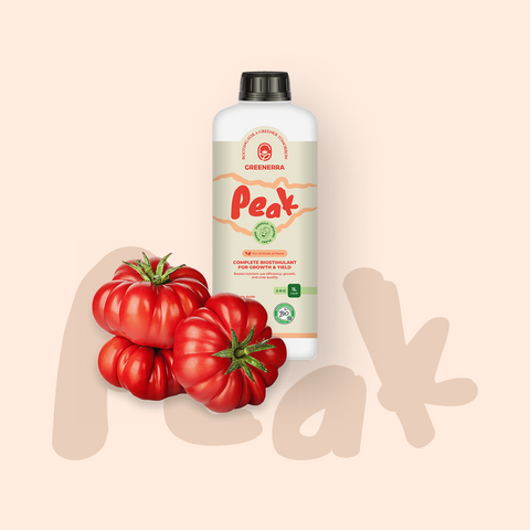 Fruits and Vegetables